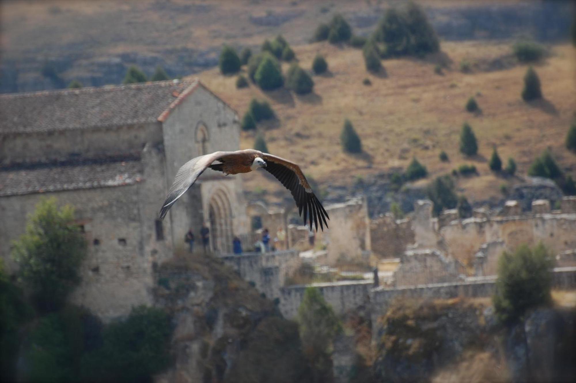 El Rincon De Las Hoces Del Duraton Burgomillodo Bagian luar foto