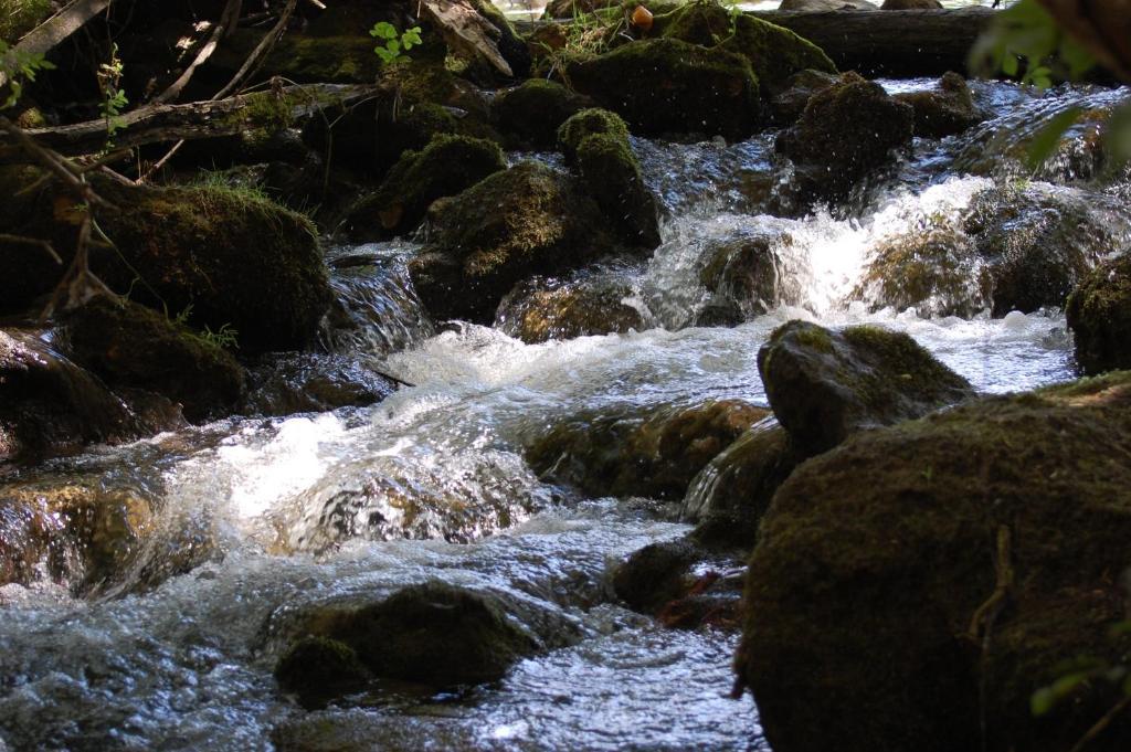 El Rincon De Las Hoces Del Duraton Burgomillodo Bagian luar foto